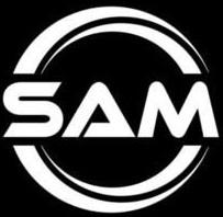 Logo Icon